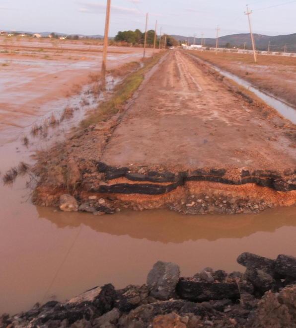 Al mondo agricolo servono 30 milioni 