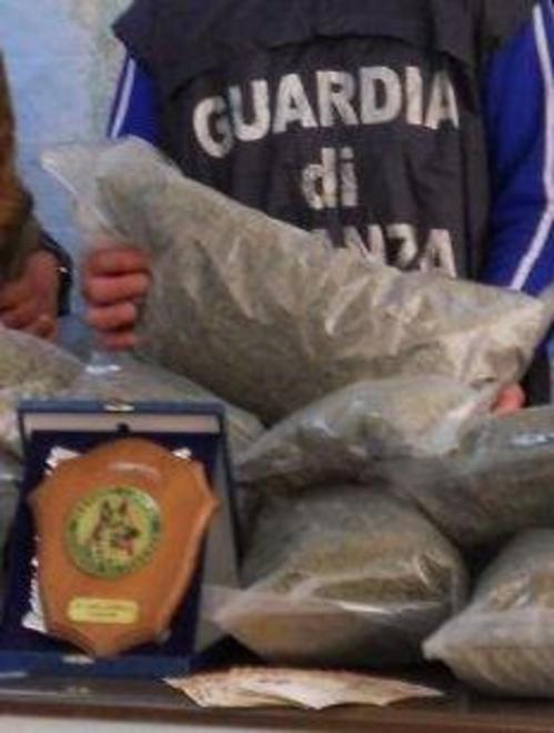 Mamma, ho perso la marijuana 