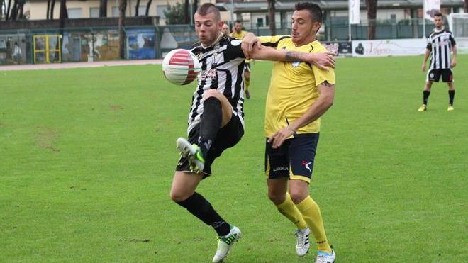 Zebre, sete di punti a Barletta