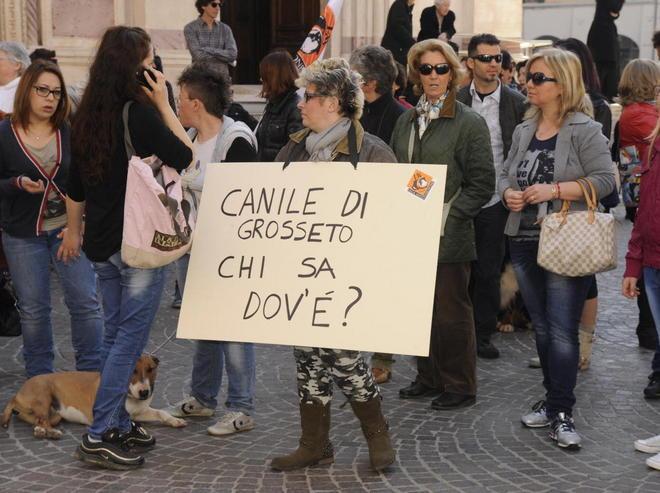 La furia di Tei: «Basta bugie o querelo» 