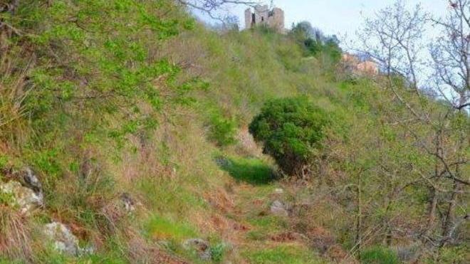 E dalle erbacce spuntò l’antica via romana