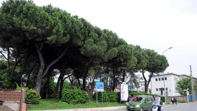 Parco alla Grotta, attese decisioni dell’Asl
