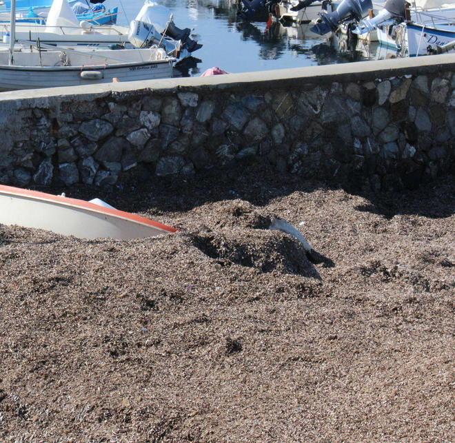 «Quei rifiuti in mare sono da togliere»