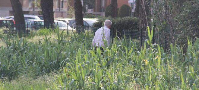 Quel parcheggio atteso da mezzo secolo alla Stella 