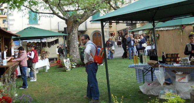 Non si recupera la festa della pastorizia 