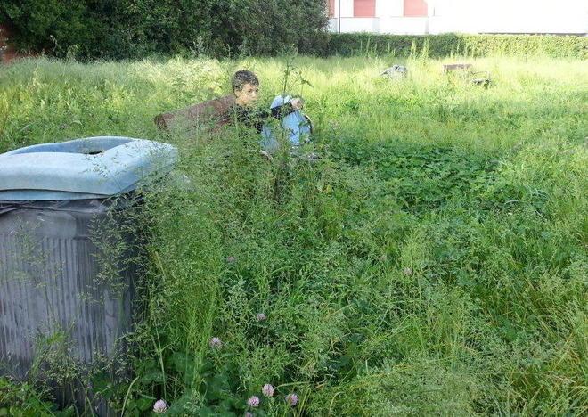 Erba alta e zecche infestano il parco dove giocano i bimbi 