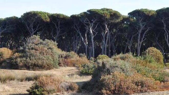 Parchi verso “costo zero” grazie ai fondi regionali