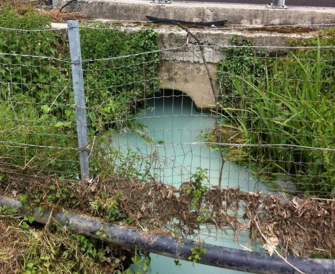 Inquinate le canalette, è allarme 