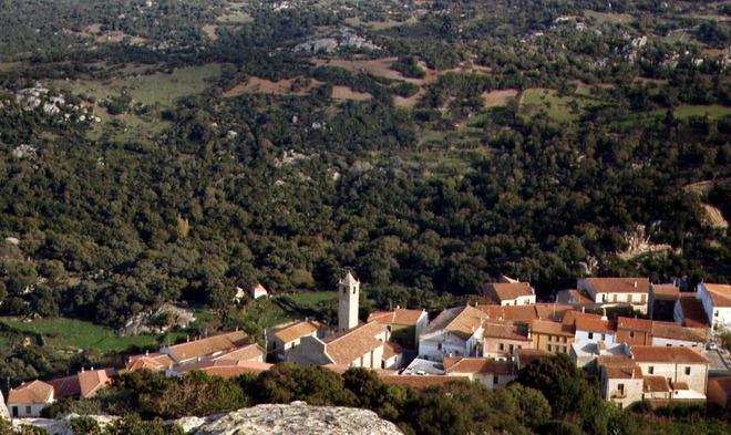 Protestano i cittadini: strade e verde nel degrado totale