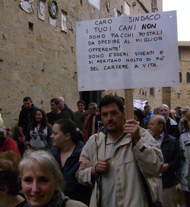 I randagi non vanno più a Matera 