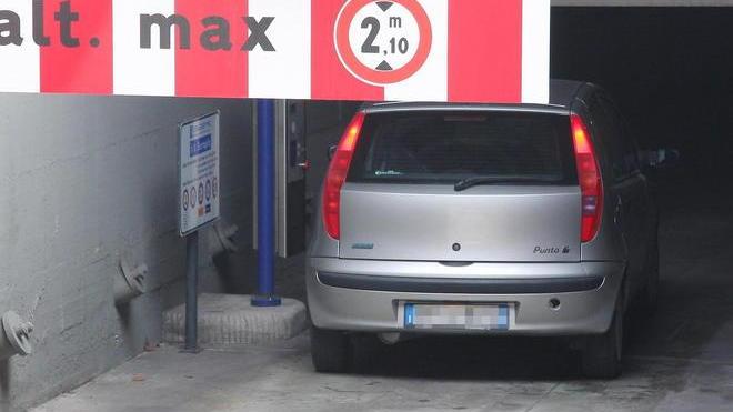 In futuro “asilo sicuro” al Serraglio