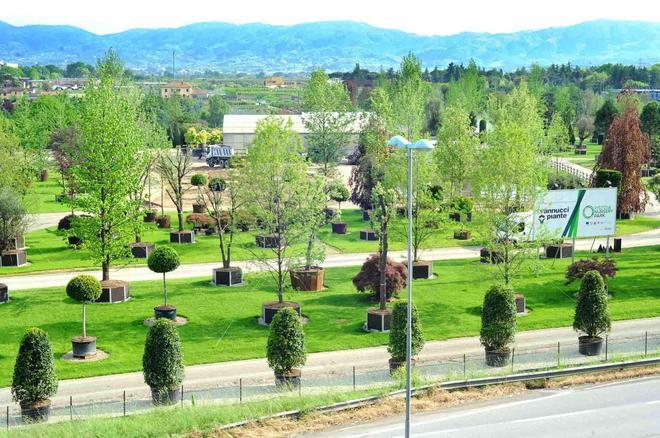 Pronto il 27 giugno il nuovo parco vivaistico di Vannucci 