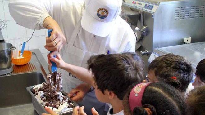Così gli alunni imparano a fare il gelato