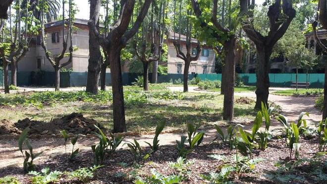 Una selva oscura tornerà alla luce
