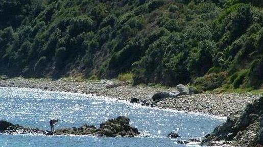 «L’assalto alle spiagge dell’isola continua»
