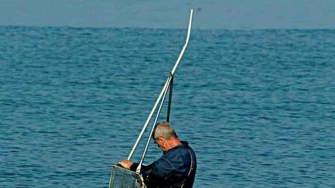 Vietata la pesca delle telline nelle acque davanti a Tirrenia
