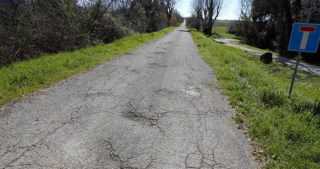 I lettori chiedono lavori in via delle Tamerici a Coltano 