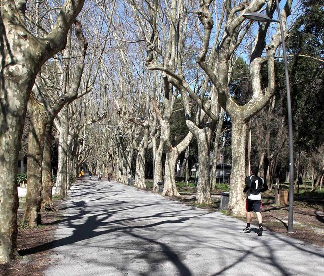 Donna aggredita a testate in Pineta