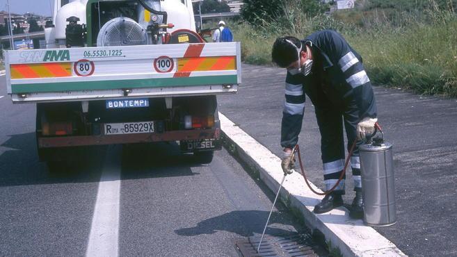 Invasi dalle maxi zanzare Rebus disinfestazione