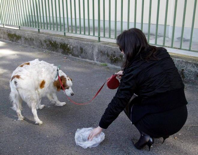 Cani fuori dai giardini dove giocano i bambini 