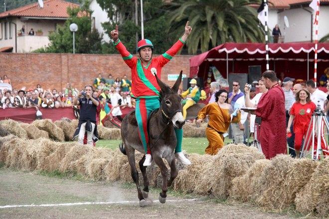 La Lucertola fa il bis e vince il Palio 2013 