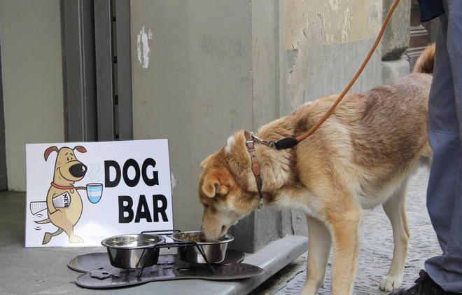 Un negozio che pensa anche ai cani