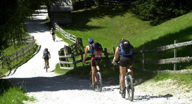 Tre bike-park si alleano per promuovere il turismo 