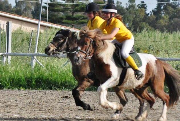 Ponymania, San Rossore sul podio a Cerveteri