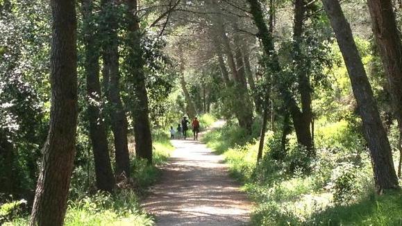 Villa Corridi abbandonata nel parco anche lo spaccio