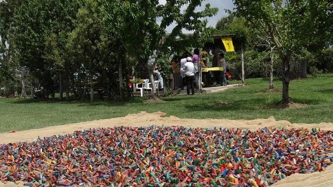 Caccia, 15mila bossoli recuperati nella campagna di Gavorrano