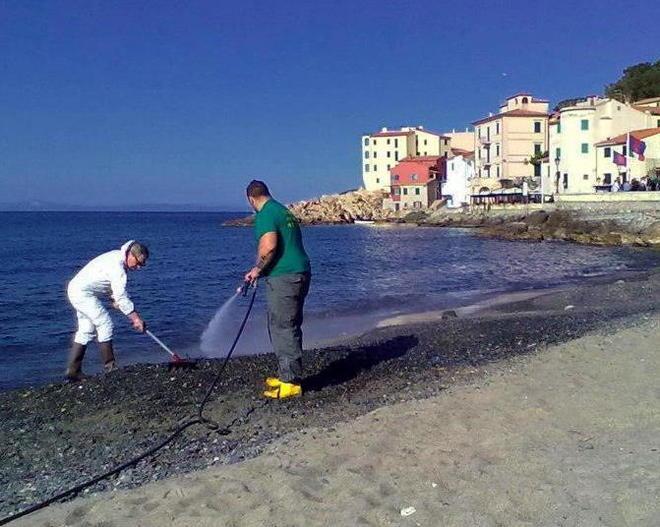 Migliaia di velelle invadono le spiagge dell’isola d’Elba 