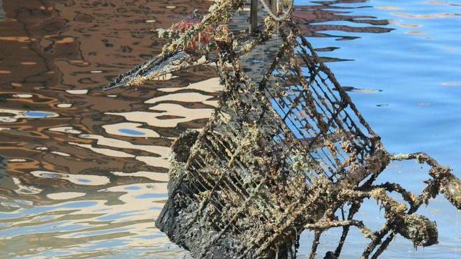 Ripescati nel fosso bici, sedie, carrelli della spesa e un motorino
