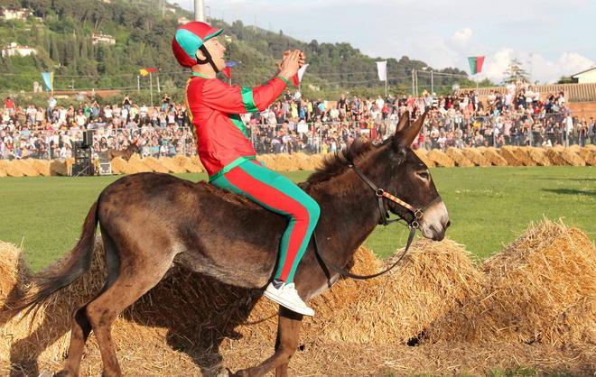 Un fantino di Querceta correrà a Siena 