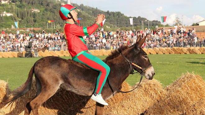Un fantino di Querceta correrà a Siena