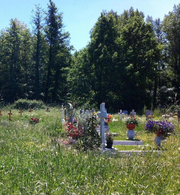 Furti di rame e tanta incuria al cimitero nuovo