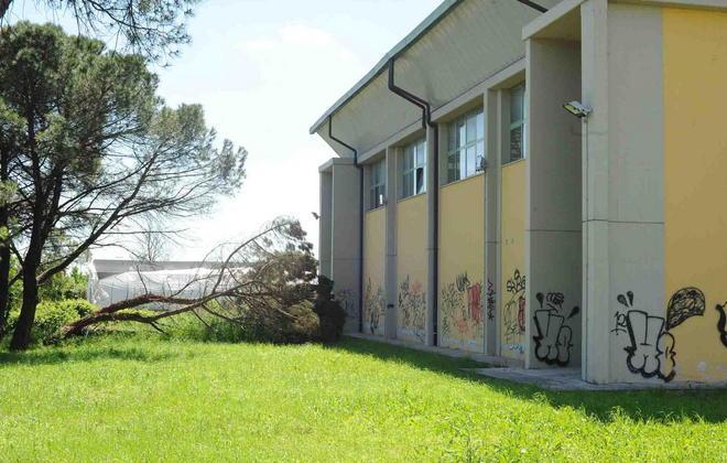 Palestra scolastica imbrattata di scritte 