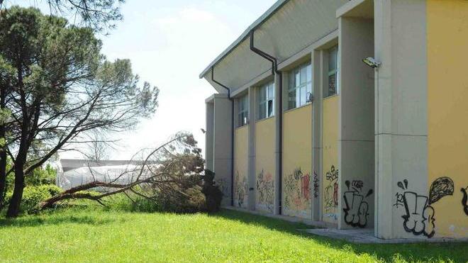 Palestra scolastica imbrattata di scritte