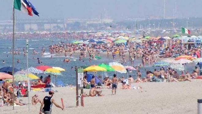 Al mare con il cane e vietati i giochi molesti