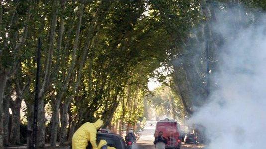 In città si inaugurano i piatti alla zanzara E la gente s’infuria