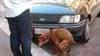 Cani “sporcaccioni”, i padroni rischiano 160 euro di multa