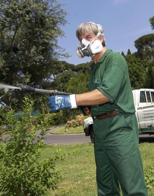 Troppe zanzare la gente protesta «Ora si disinfesti» 