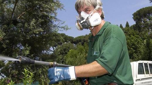 Troppe zanzare la gente protesta «Ora si disinfesti»