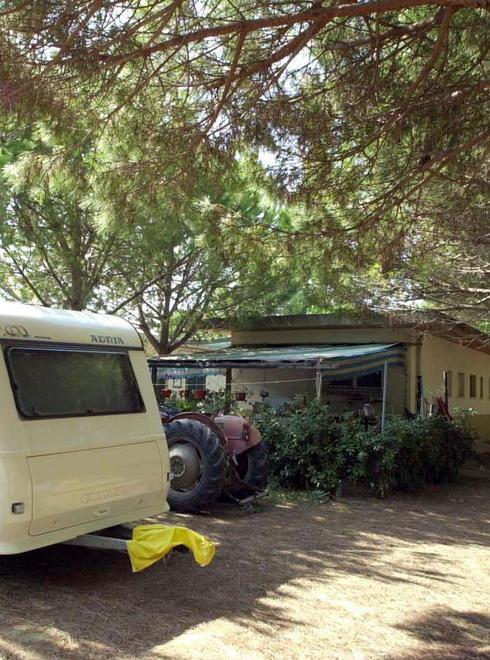 I turisti scappano: troppe zanzare, grosse e aggressive 