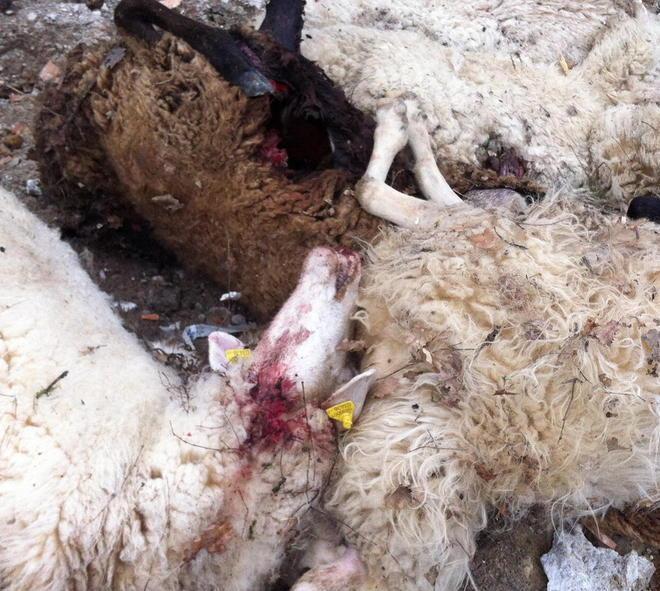 Un nuovo attacco nella notte 