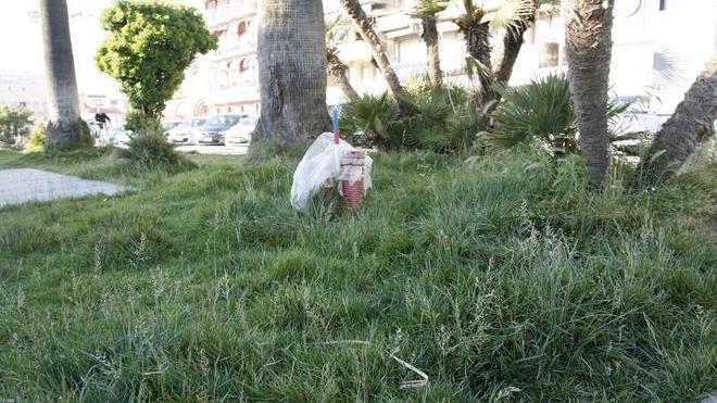 Proteste per l’erba alta nella Passeggiata di Viareggio