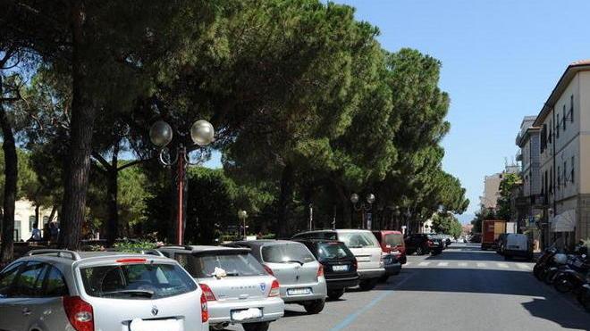 Consorzio Etruria: iter travagliato poi il buco dei debiti