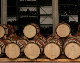 Vini, asta record a Londra: Ornellaia a 105mila euro 