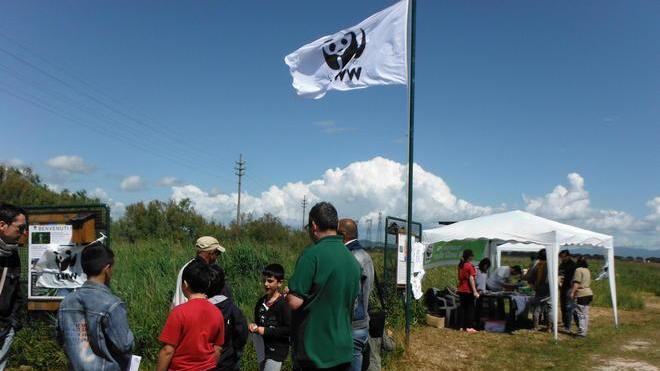Folla di appassionati a spasso nella natura tra Padule e Orti