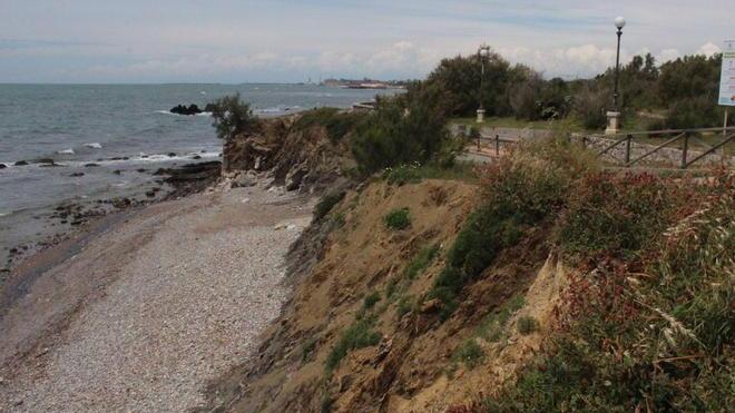Tartaruga morta a Cala Longa