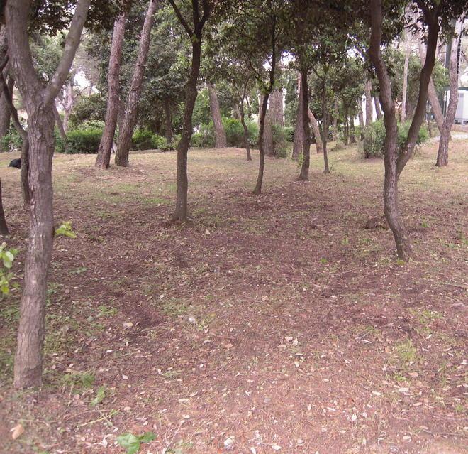  Quando la litoranea diventa un cimitero di rifiuti abbandonati 